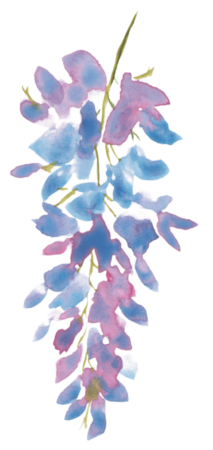 watercolor-wisteria-1